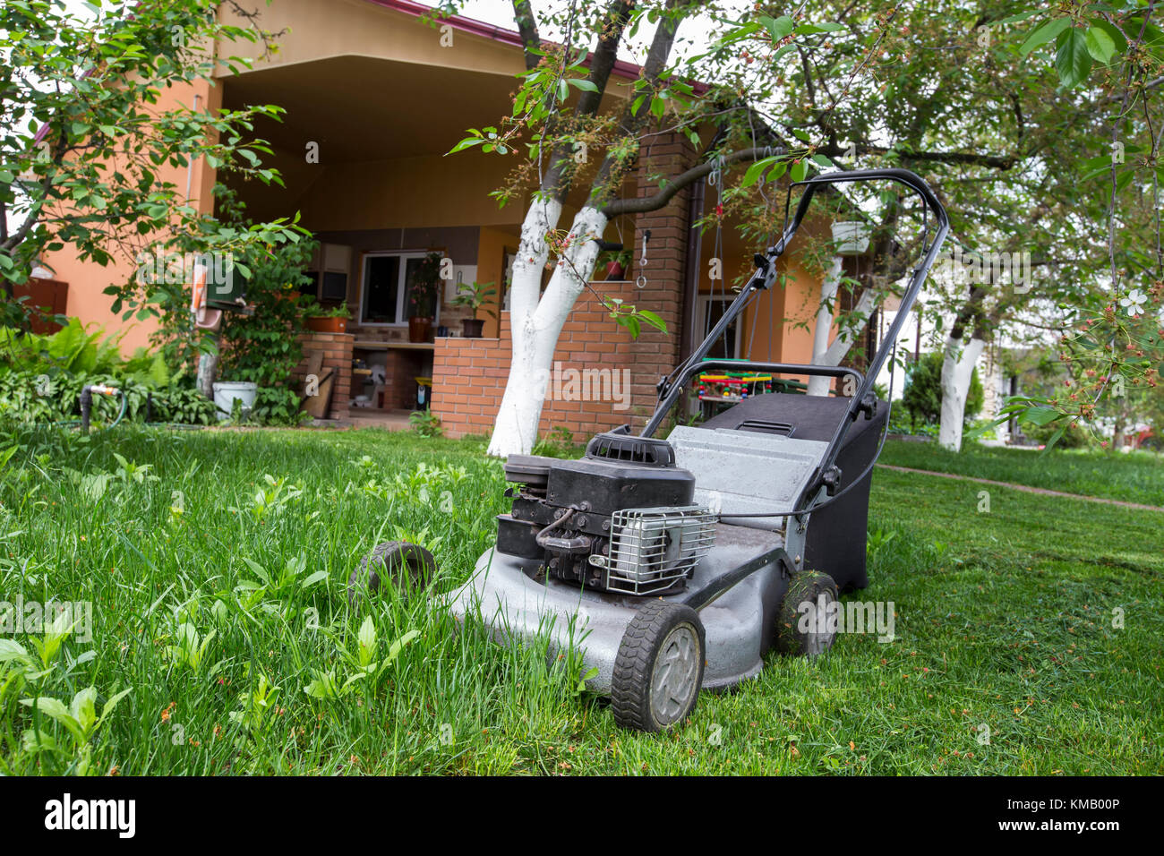 Tondeuse dans le jardin Banque D'Images
