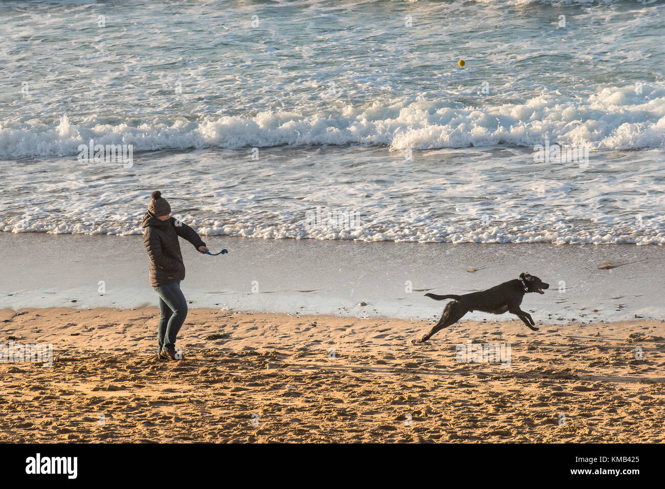 Marche de chien - un marcheur de chien lance une balle pour son chien sur la plage de Fistral à Newquay Cornwall. Banque D'Images