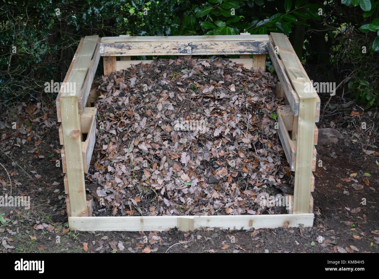 Jardin de compost fabriqué à partir de palettes en bois et des conseils scolaires de l'featheredge avant de buissons et rempli de l'automne et l'hiver la chute des feuilles et gazon coupé Banque D'Images