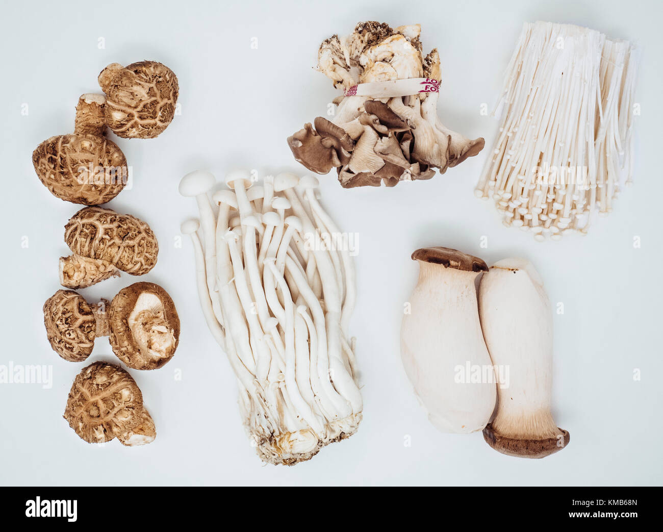 Cinq types de champignons shiitake-, fruits de mer, huîtres, king oyster, enokis Banque D'Images