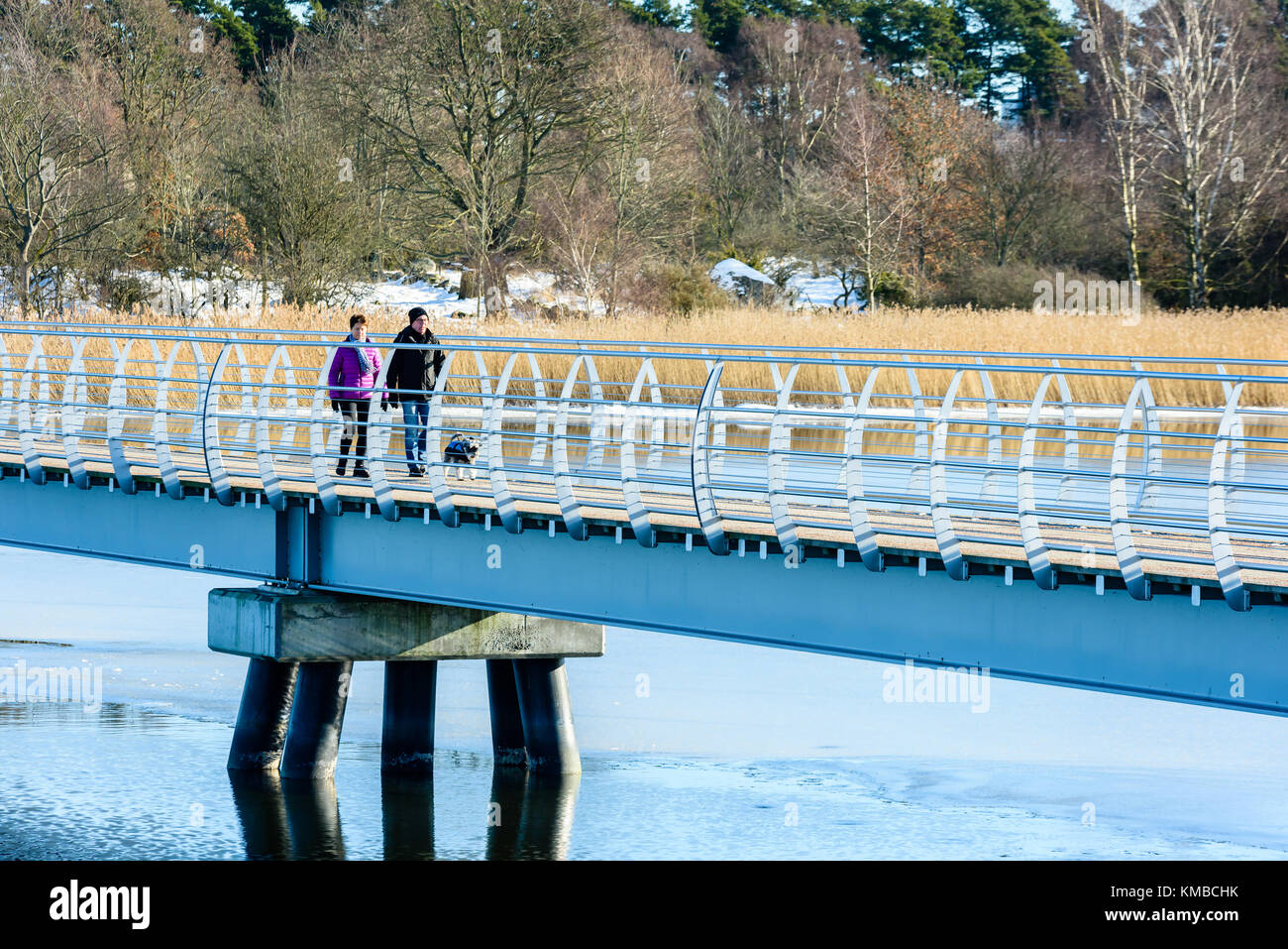 Solvesborg, Suède - 14 février 2017 : documentaire environnemental sur le plus long pont piétonnier d'Europe. Couple senior promenant chien sur le pont. Banque D'Images Solvesborg, Suède - 14 février 2017 : documentaire environnemental sur le plus long pont piétonnier d'Europe. Couple senior promenant chien sur le pont. Banque D'Images