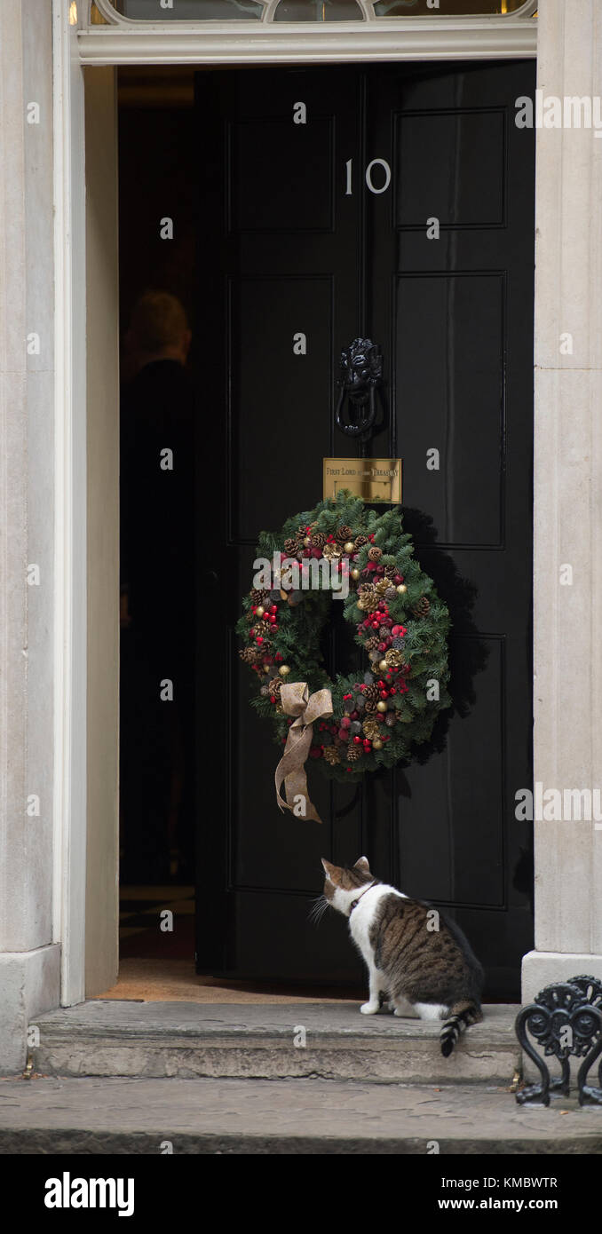 Larry le chat entre au 10 Downing Street lors de la réunion hebdomadaire du cabinet le 5 décembre 2017. Crédit: Malcolm Park Banque D'Images