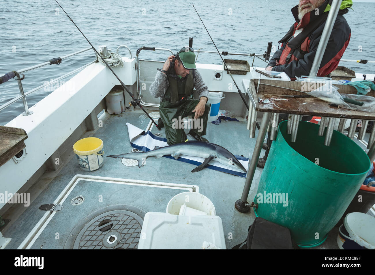 Pêcheurs mesurant la longueur du poisson de requin Banque D'Images