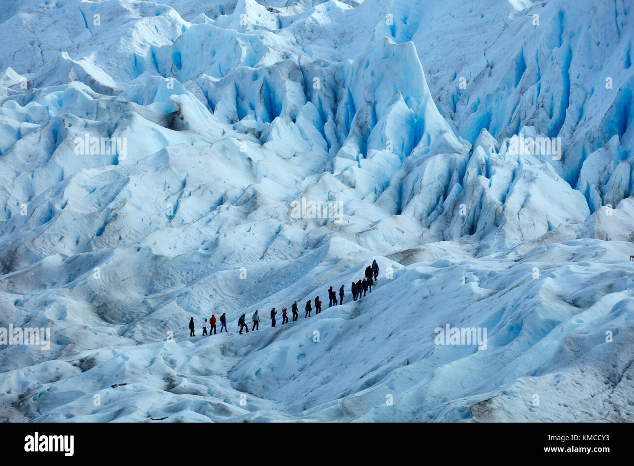 Randonneurs sur le glacier Perito Moreno, Parque Nacional Los Glaciares (zone du patrimoine mondial), Patagonie, Argentine, Amérique du Sud Banque D'Images