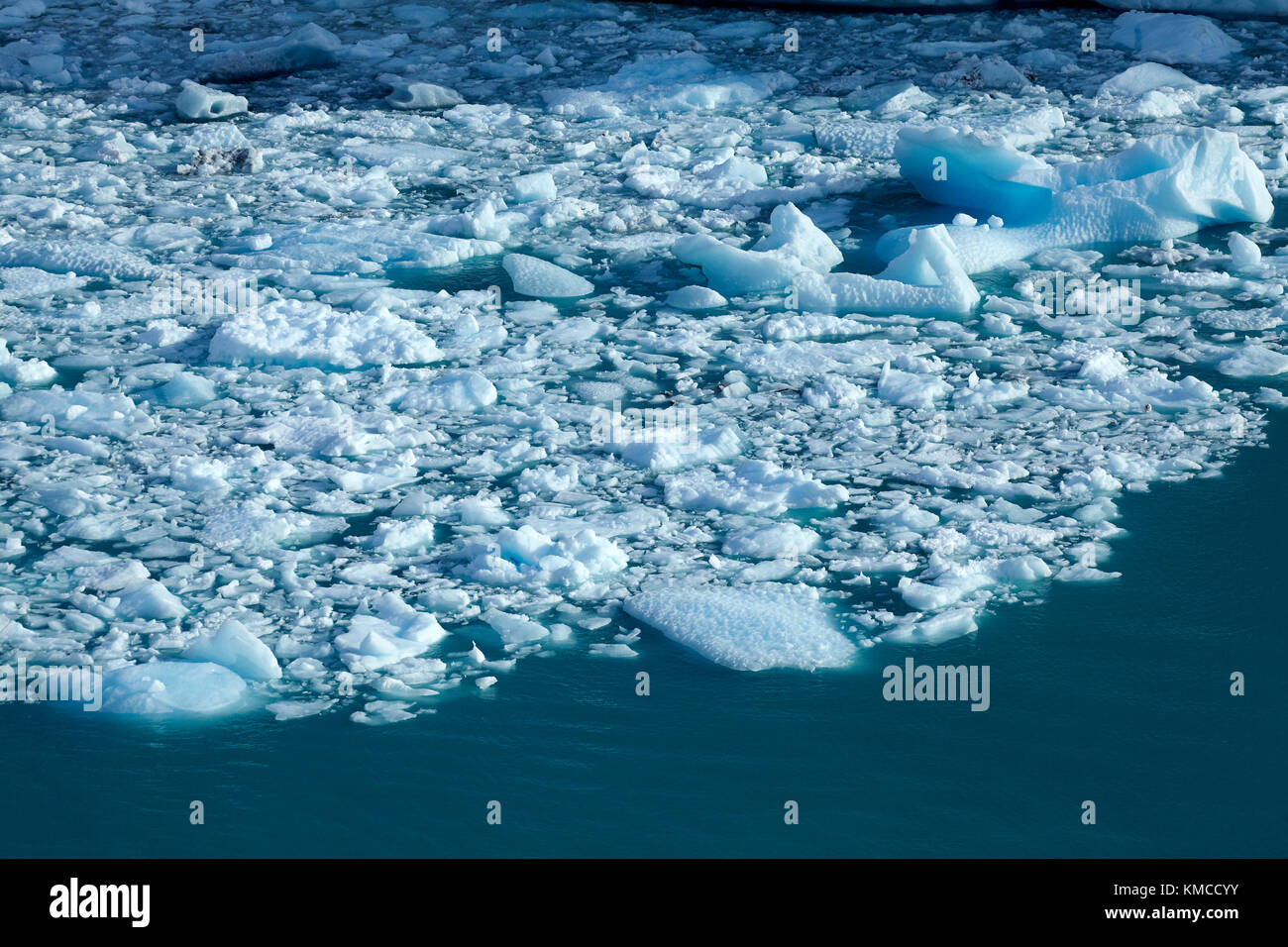 Icebergs détachés le terminal face de Perito Moreno Glacier, Parque Nacional Los Glaciares (zone du patrimoine mondial), Patagonie, Argentine, l'Ameri Banque D'Images