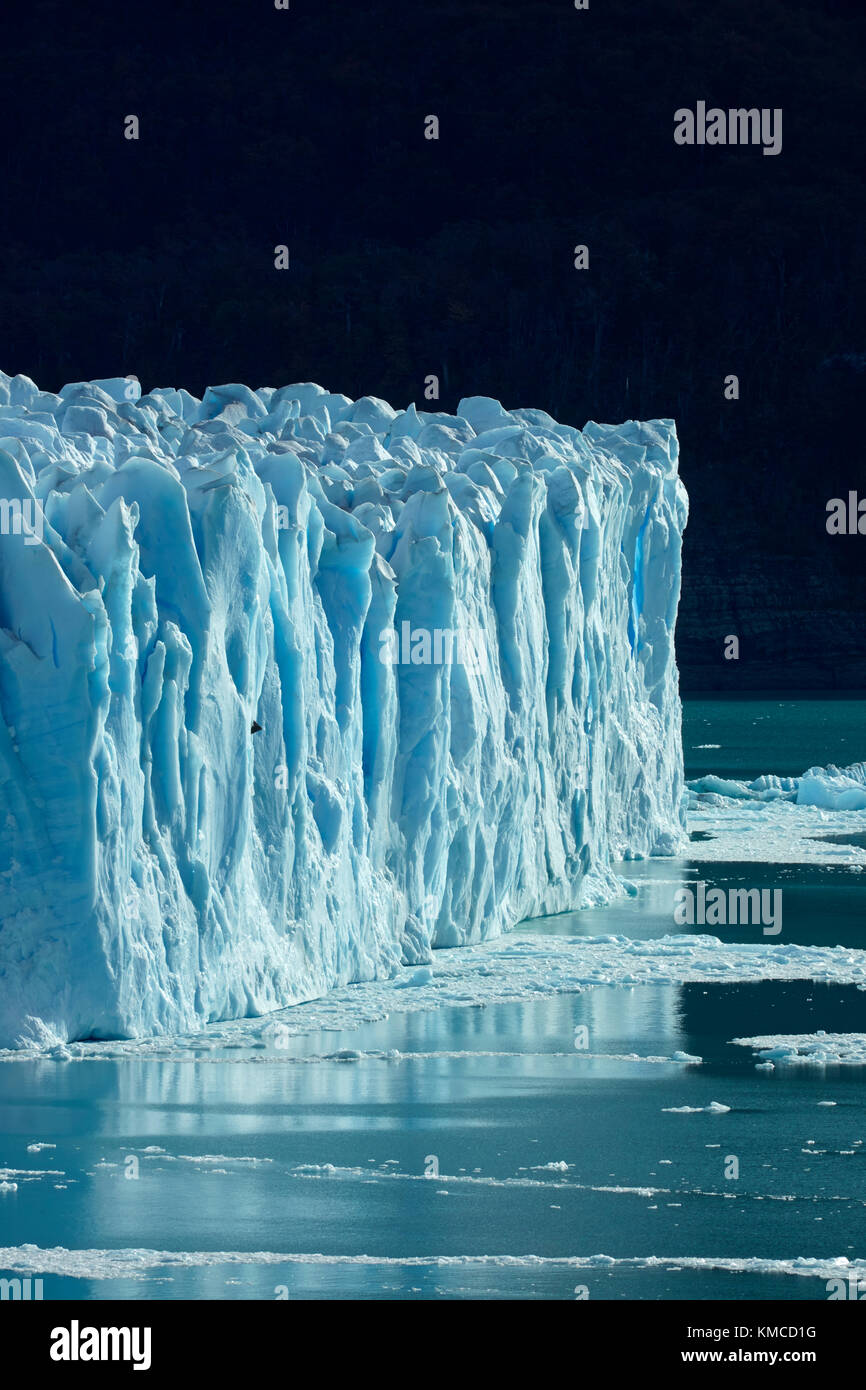 Face à la borne, glacier Perito Moreno et du lac Argentino, Parque Nacional Los Glaciares (zone du patrimoine mondial), Patagonie, Argentine, Amérique du Sud Banque D'Images