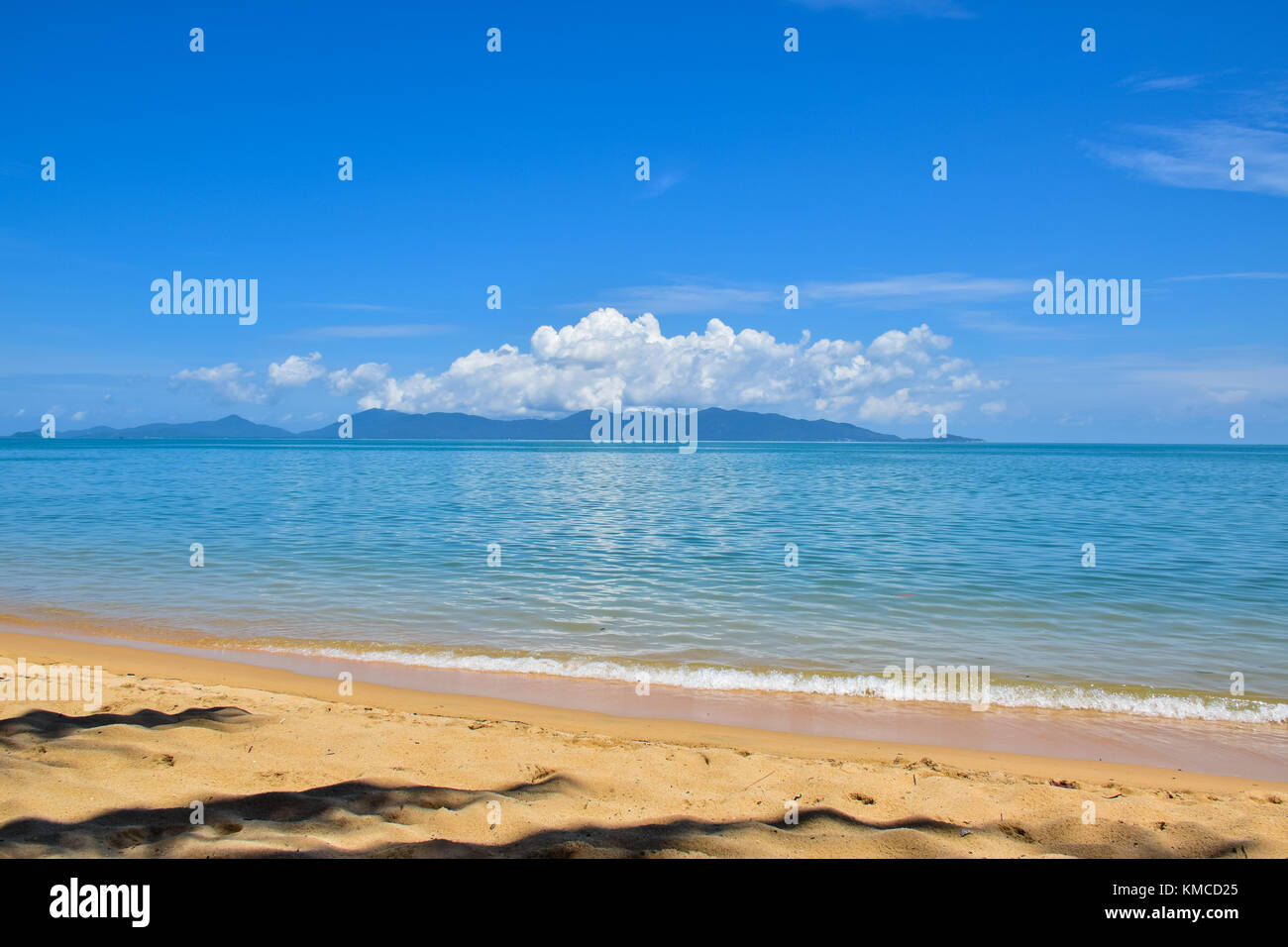 Belle plage de sable de la Thaïlande et de la mer tropicale dans un ciel bleu clair jour, île de Samui Banque D'Images