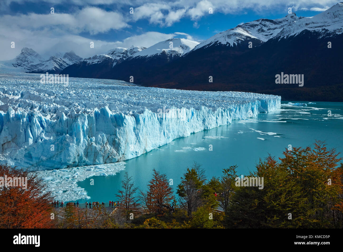 Perito Moreno Glacier, lenga arbres en automne, et les touristes en promenade, Parque Nacional Los Glaciares (zone du patrimoine mondial), Patagonie, Argentine, sout Banque D'Images