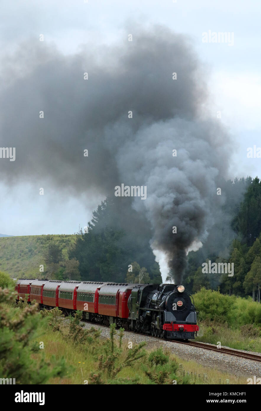 Train à vapeur conservés fonctionner passé dans l'Île du Nord, Nouvelle-Zélande le dimanche 12 novembre 2017 avec 1271 Locomotive en charge de l'Heartland Flyer. Banque D'Images