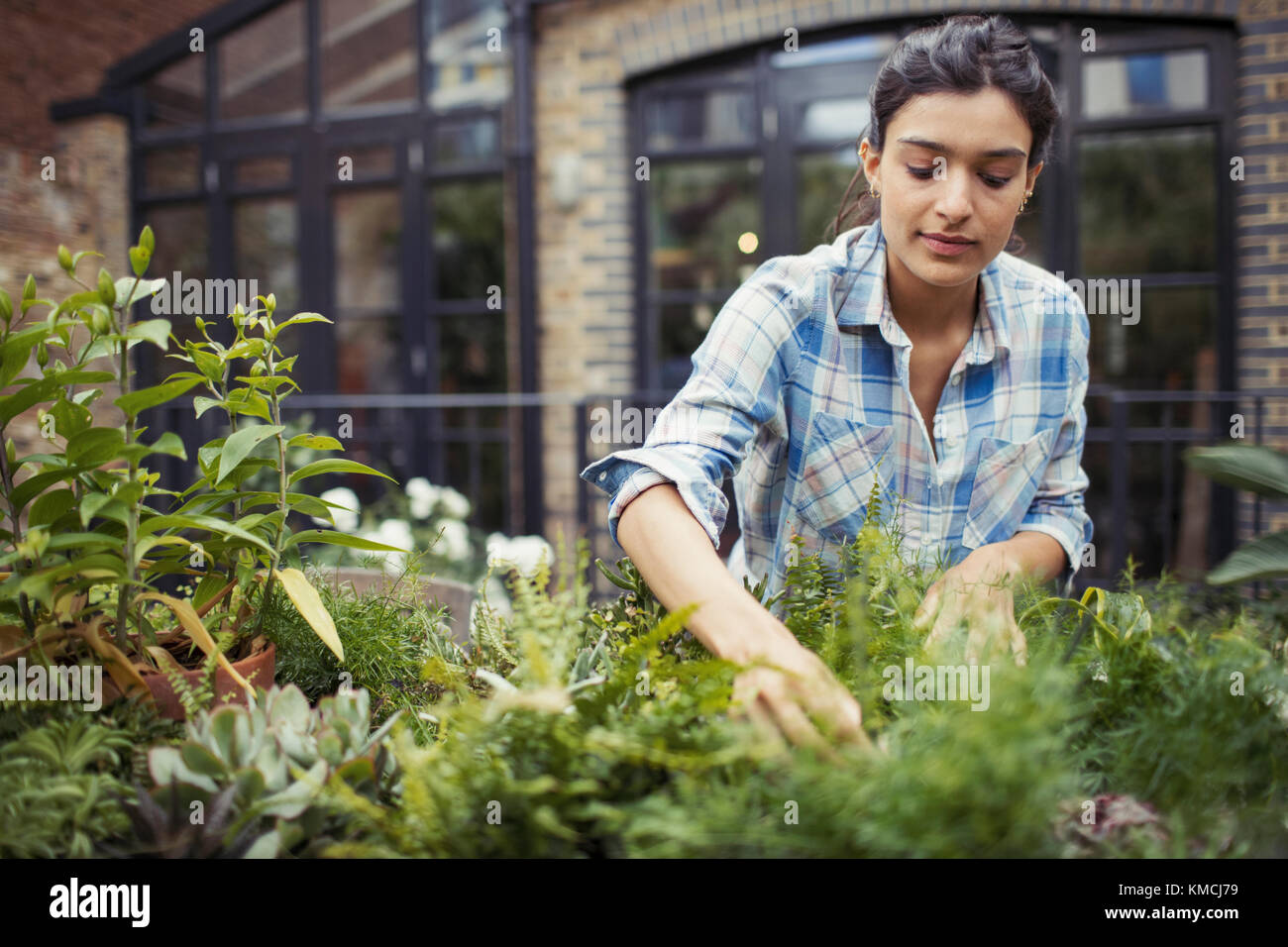 Jeune femme jardinant, vérifier les plantes sur le patio Banque D'Images