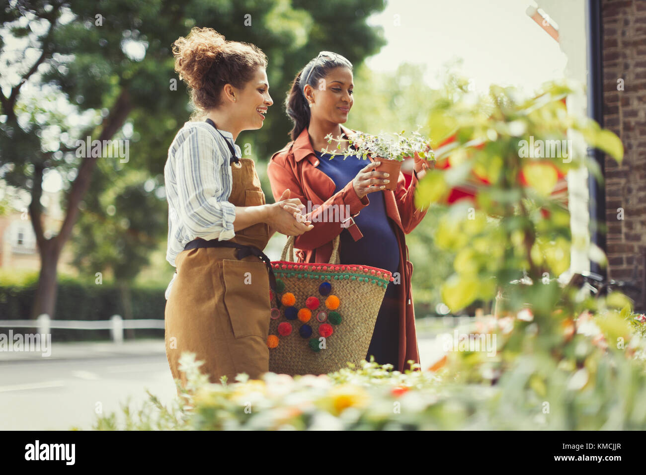 Fleuriste féminin aidant la cabas enceinte avec des plantes en pot à la fleur boutique Banque D'Images