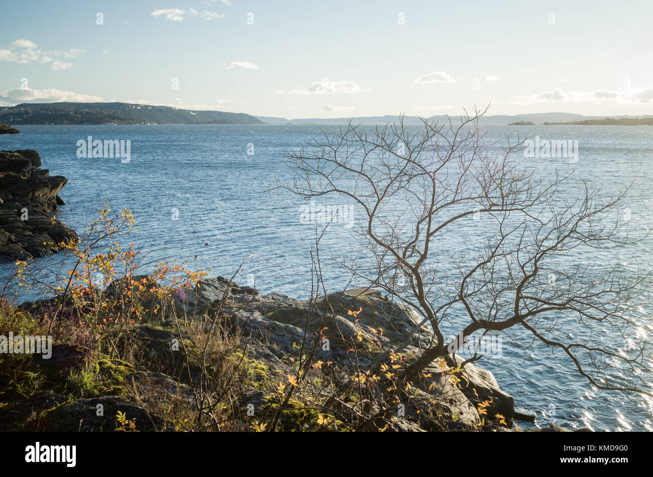 Falaises rocheuses de Bigdoy calme en journée ensoleillée, parfait pour la marche destination dimanche, la randonnée ou la natation, lieu très populaire à Oslo, Norvège. Banque D'Images Falaises rocheuses de Bigdoy calme en journée ensoleillée, parfait pour la marche destination dimanche, la randonnée ou la natation, lieu très populaire à Oslo, Norvège. Banque D'Images
