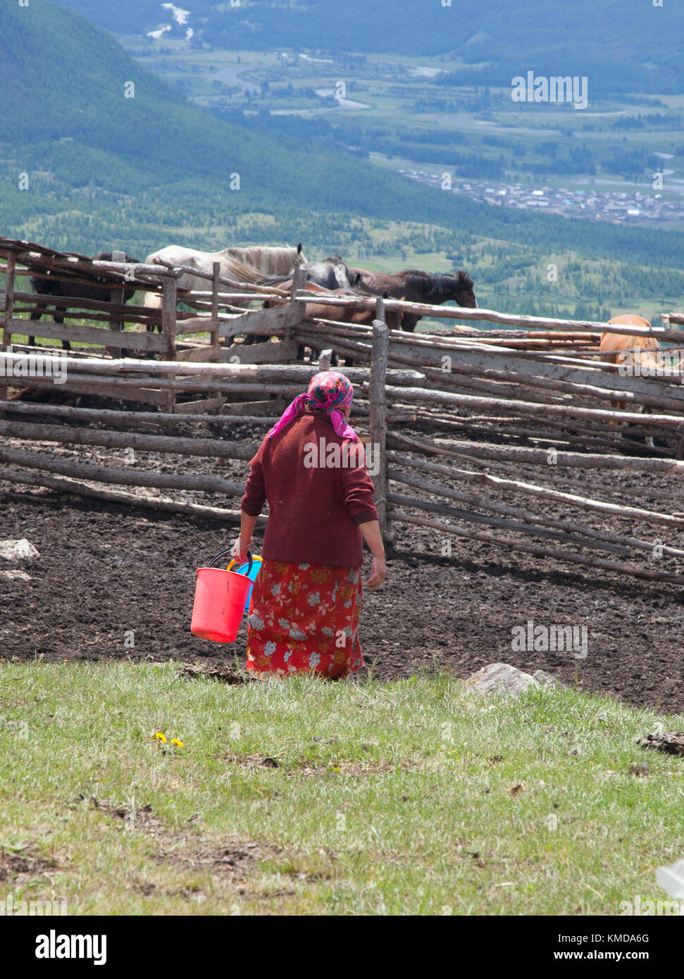 Femme traire une mare sur une ferme qui rendrait la mare Banque D'Images Femme traire une mare sur une ferme qui rendrait la mare Banque D'Images