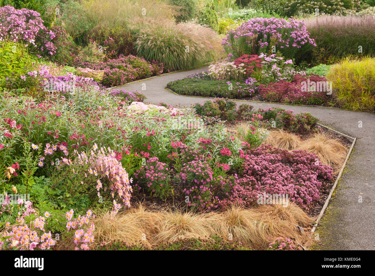 Septembre 2017. Breezy genoux jardins, le grenier aux images, York, YO19 5XS, UK. Banque D'Images