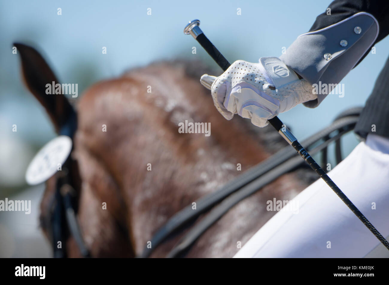 Femme en robe de dressage formel avec cravache dans la main Banque D'Images