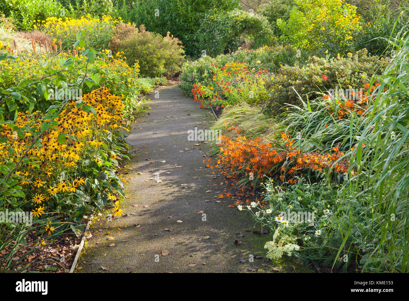 Septembre 2017. Breezy genoux jardins, le grenier aux images, York, YO19 5XS, UK. Banque D'Images