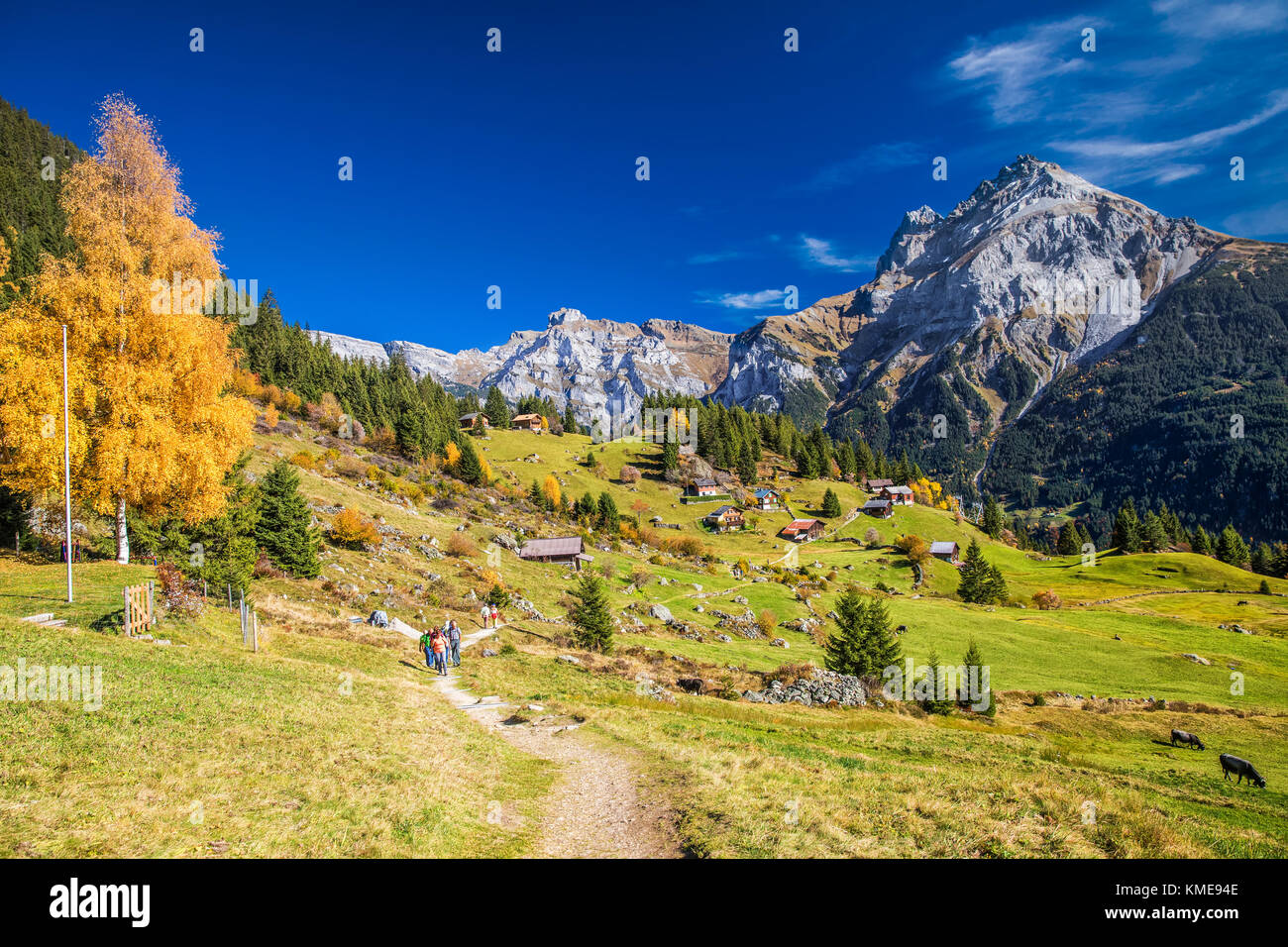 Alpes Suisses près de Arni Lake dans le canton d'Uri, Suisse Banque D'Images
