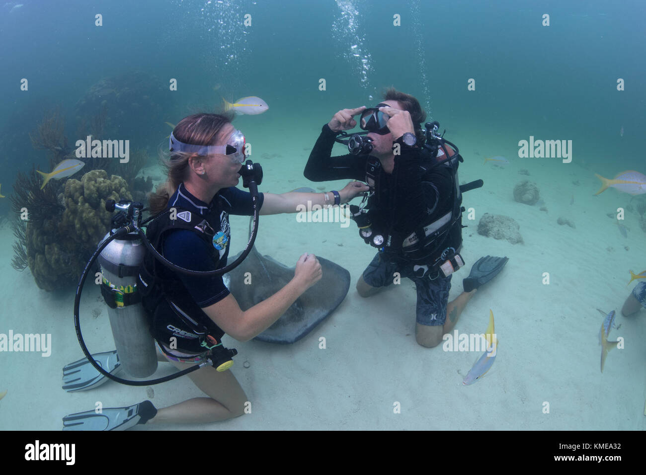 Plongeurs sous-masque effectuer la compensation des compétences dans l'eau peu profonde de stingray city, grand cayman Banque D'Images