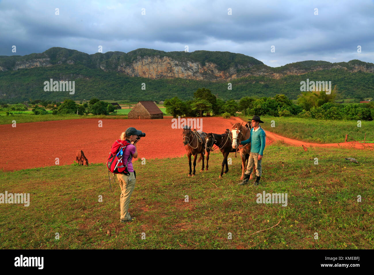 Femme américaine photographiant son guide et ses chevaux pendant la visite À travers les plantations de fincas de tabac dans la vallée de Vinales, dans l'ouest de Cuba Banque D'Images