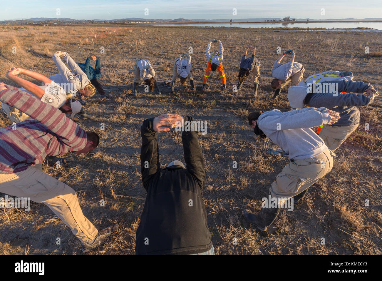 Les bénévoles d'AmeriCorps étirer avant la plantation d'espèces des terres humides restaurées dans le domaine Hamilton,marais intertidaux Novato,California,USA Banque D'Images