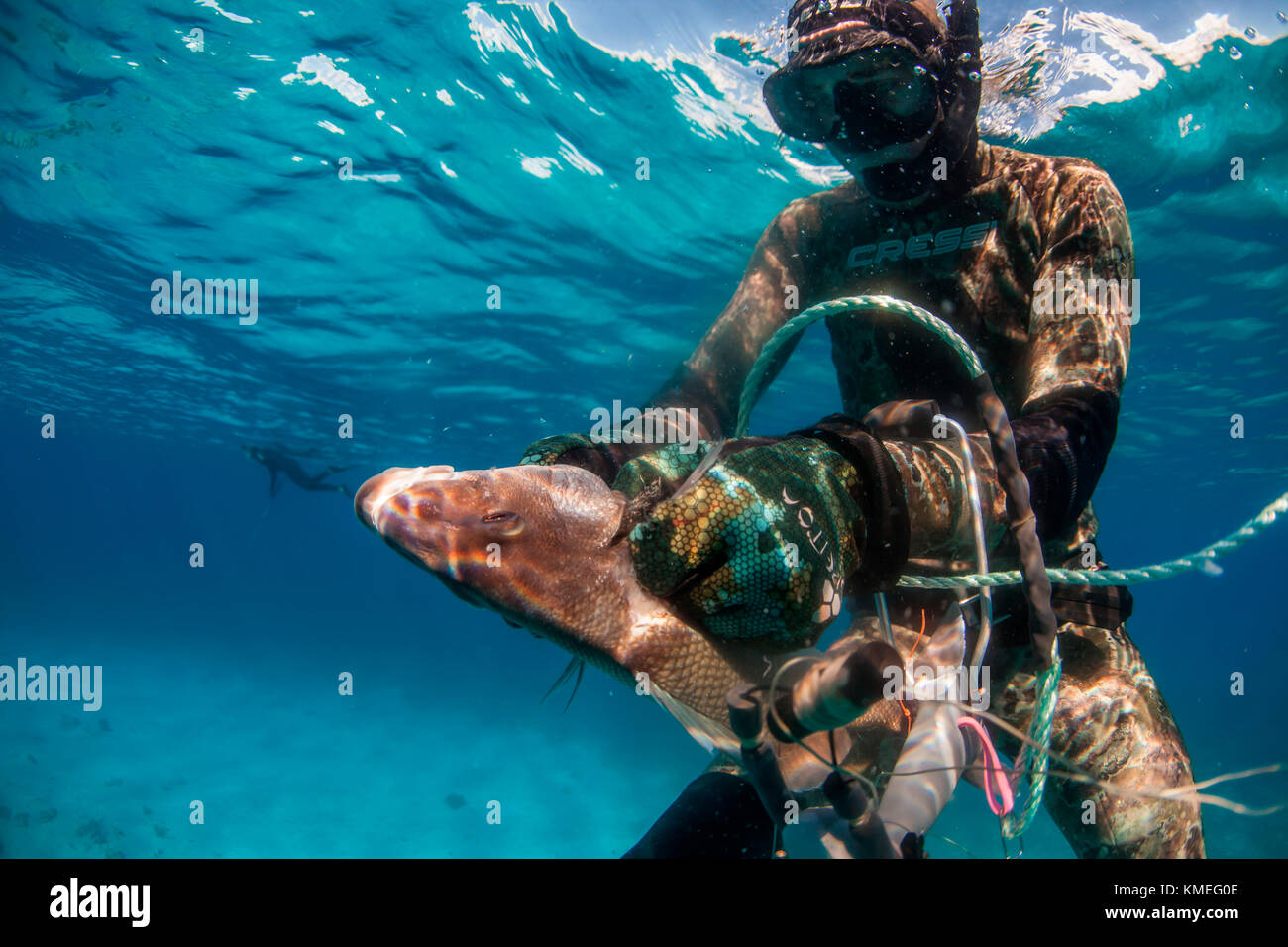 Pêche au poisson margate (de la famille des Gront) tout en pêchant le fer de lance dans l'océan, Clarence Town, long Island, Bahamas Banque D'Images