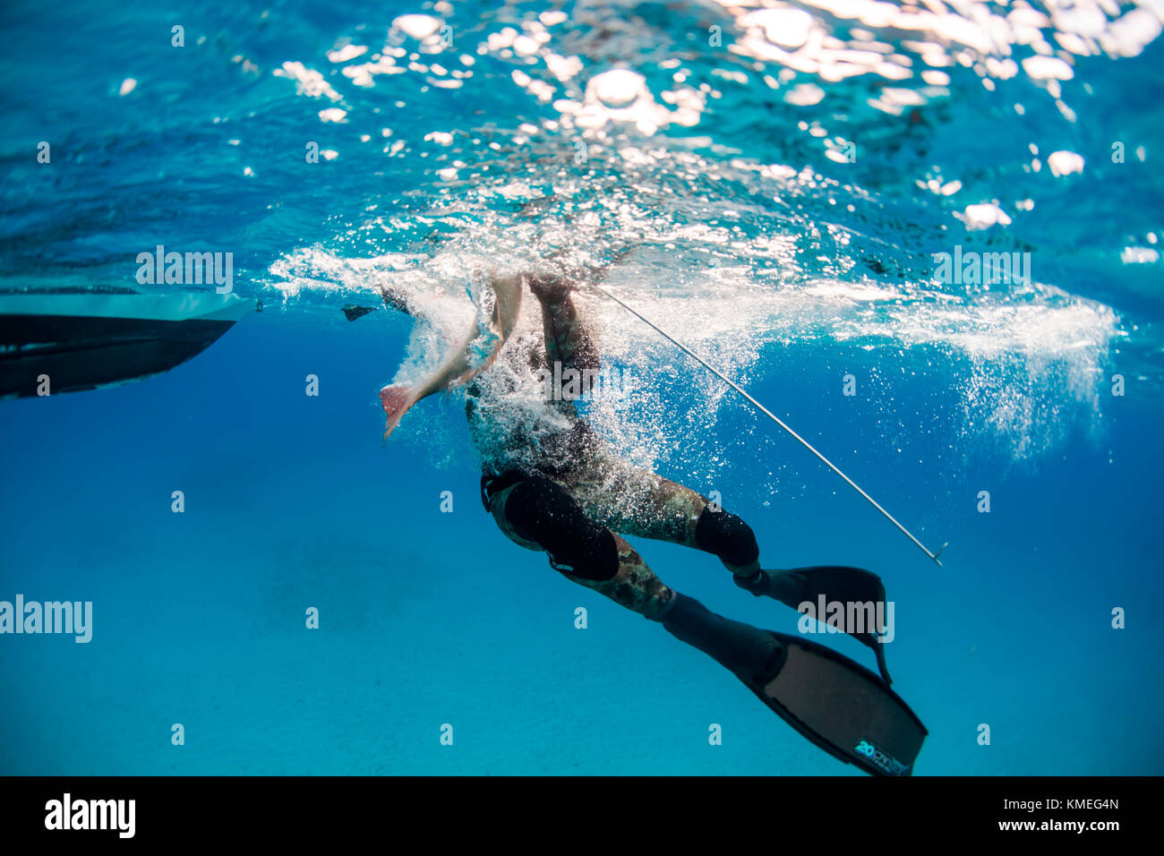 Un plongeur chargeait des poissons tués alors qu'il pêchait dans un bateau, Clarence Town, long Island, Bahamas Banque D'Images