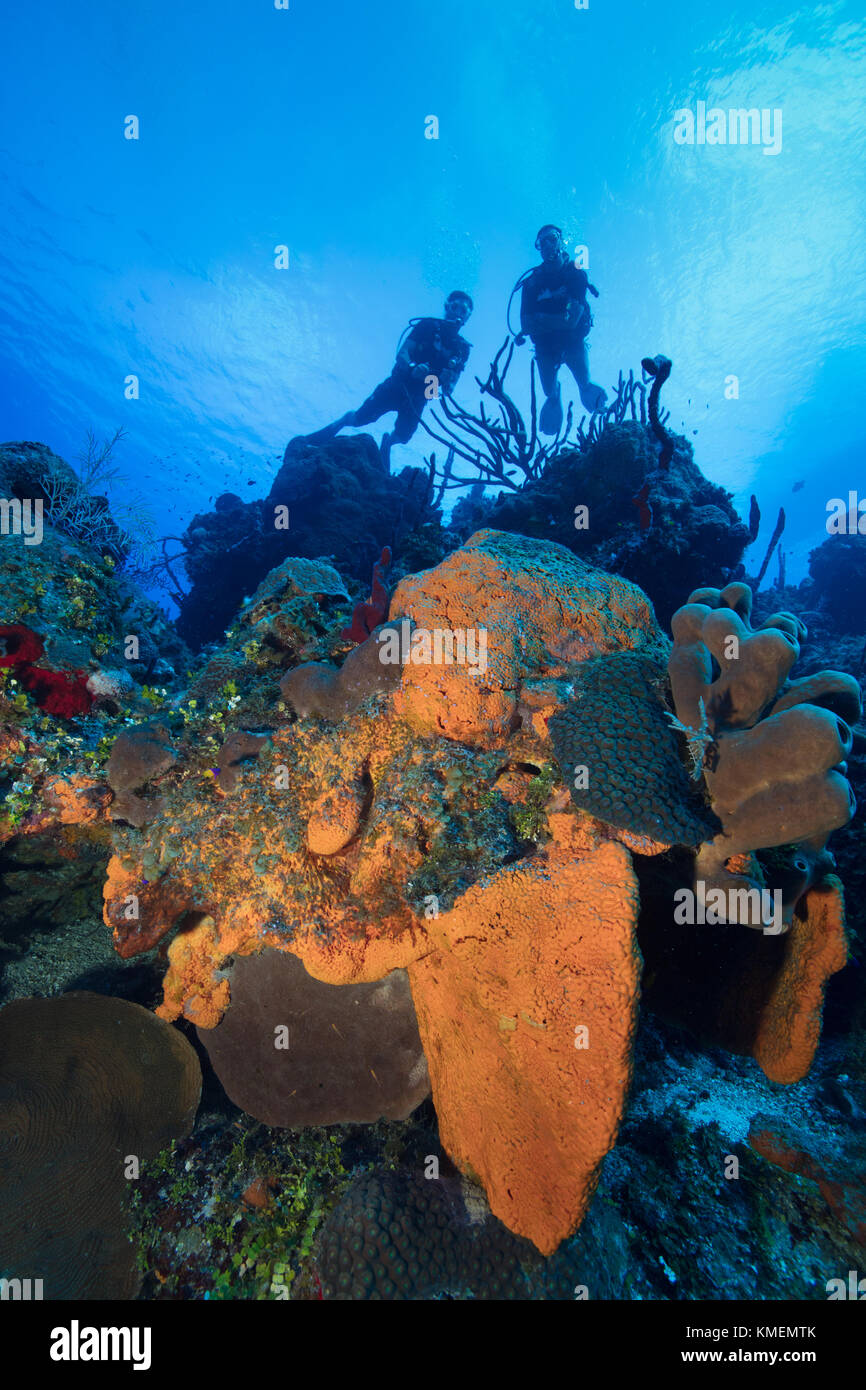 Les plongeurs d'explorer un récif à grand cayman. Banque D'Images