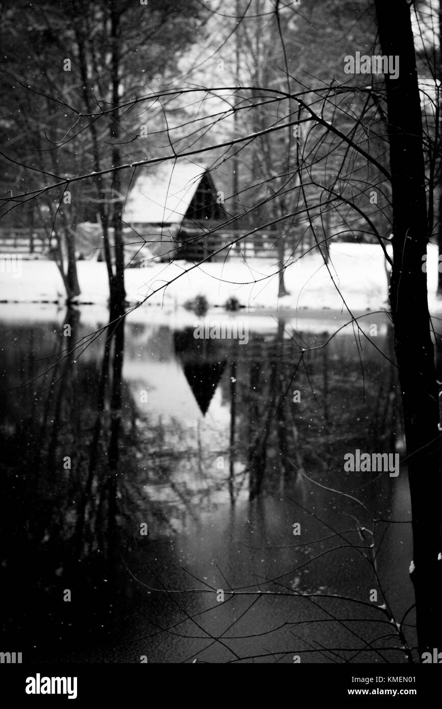 Photo de neige landscpae de pins et d'un étang Banque D'Images