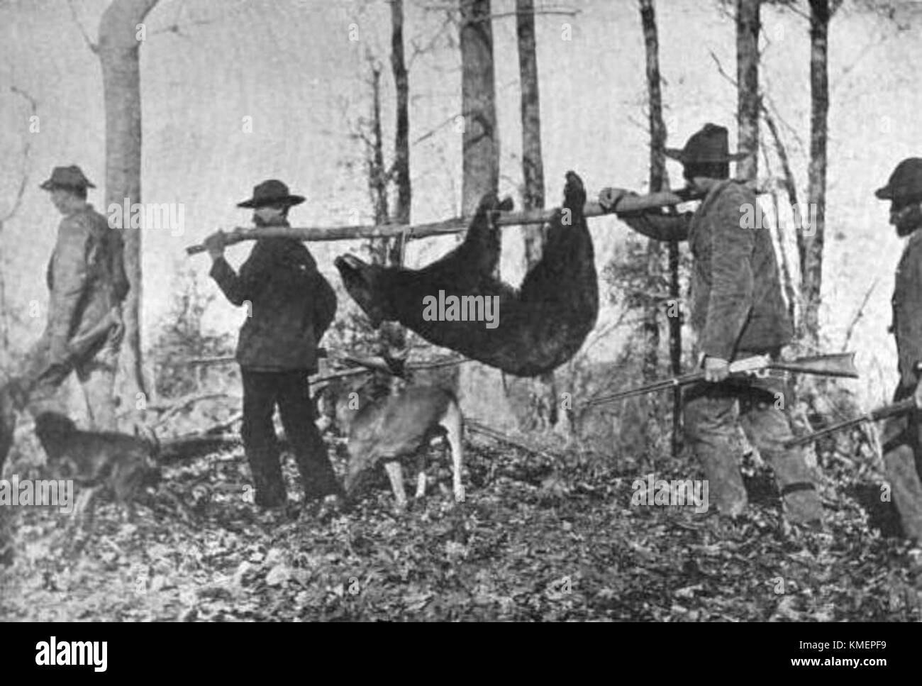 Chasseurs avec un ours noir américain Banque D'Images