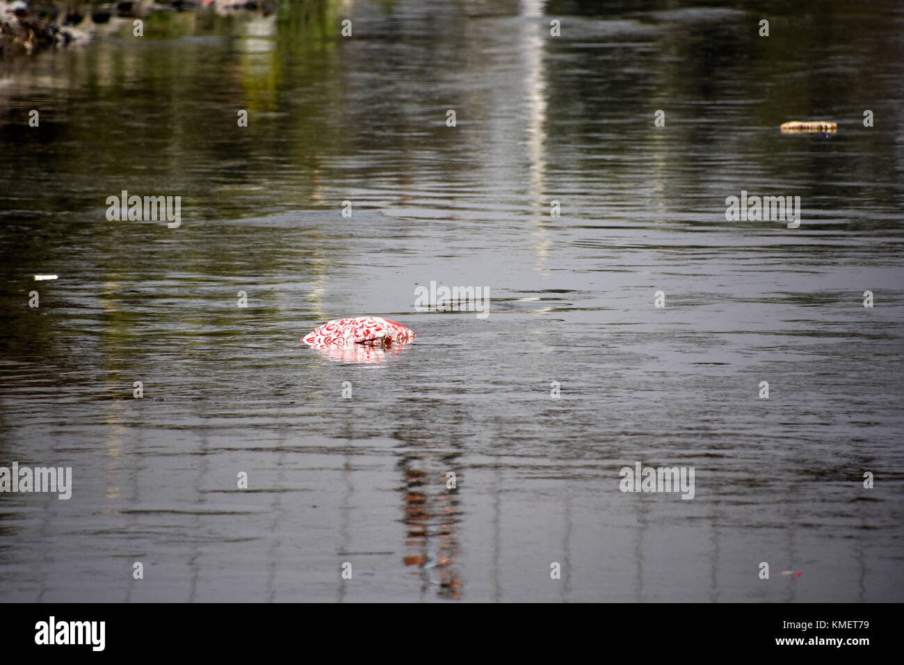 Sac en plastique sur la rivière flottante Banque D'Images