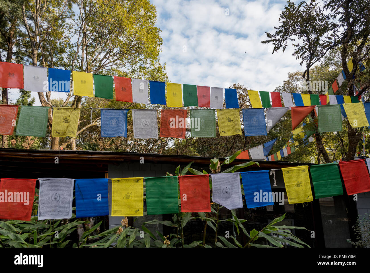 Plusieurs drapeaux de prière bouddhiste de haut vol à l'Institut Norbulingka près de Dharamsala, en Inde. Banque D'Images