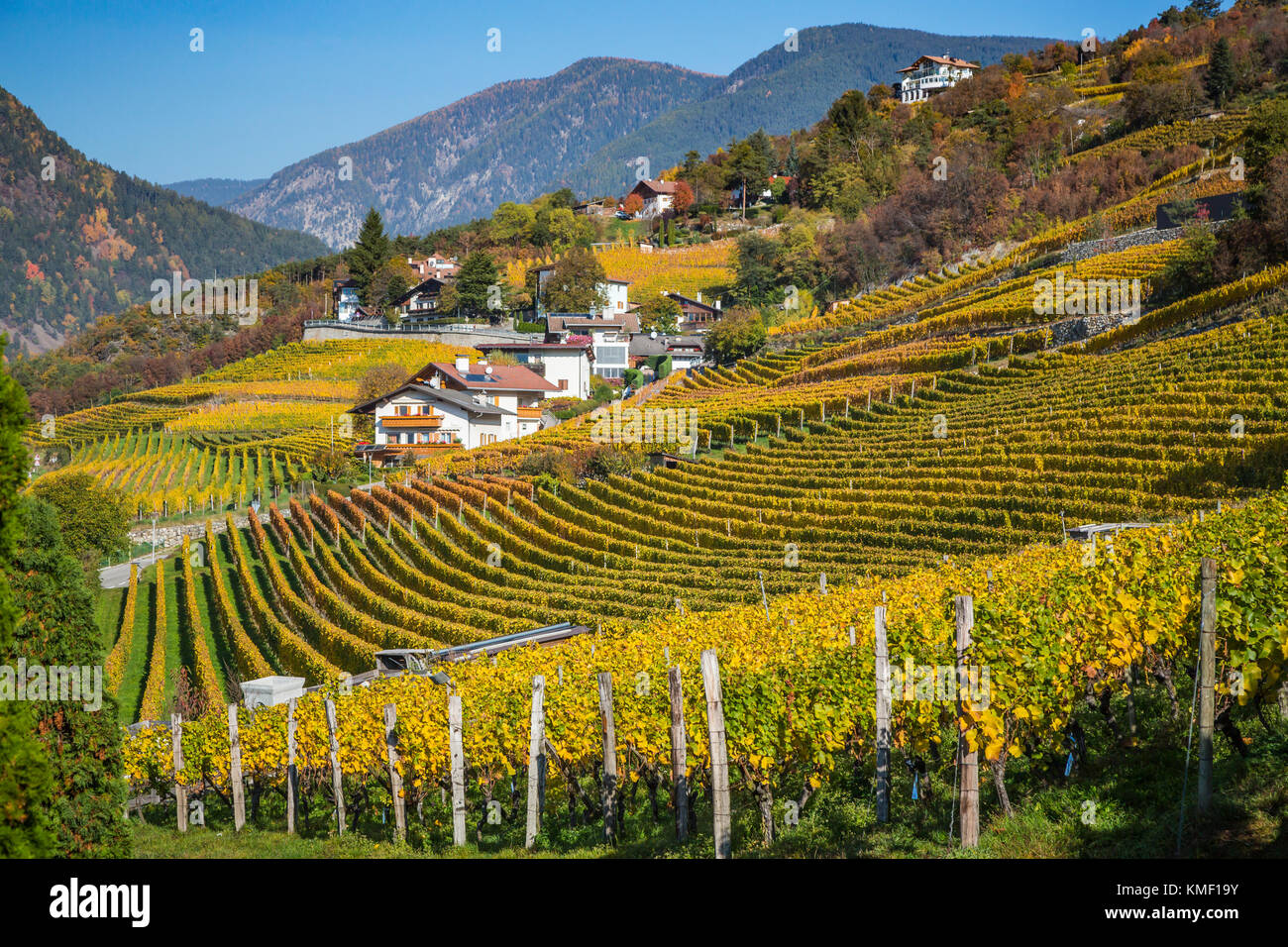 Vignobles dans la couleur de l'automne sur les pentes de la montagne au-dessus du village de Brixen, Italie, Europe. Banque D'Images