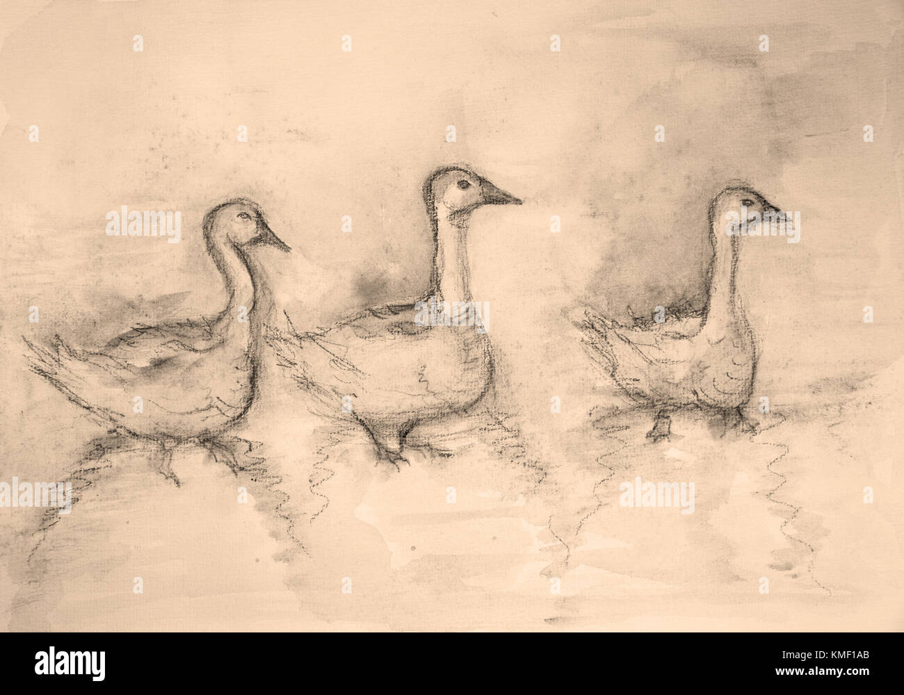 Trois oies en tons sépia. la touche technique donne un effet de flou en raison de la modification de la rugosité de surface du papier. Banque D'Images