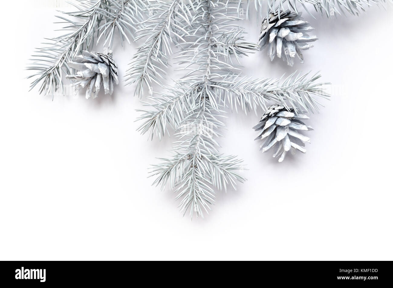 Cadre de noël maquette des branches d'arbre blanc sur fond de bois blanc à la frontière, avec l'espace pour votre texte Banque D'Images