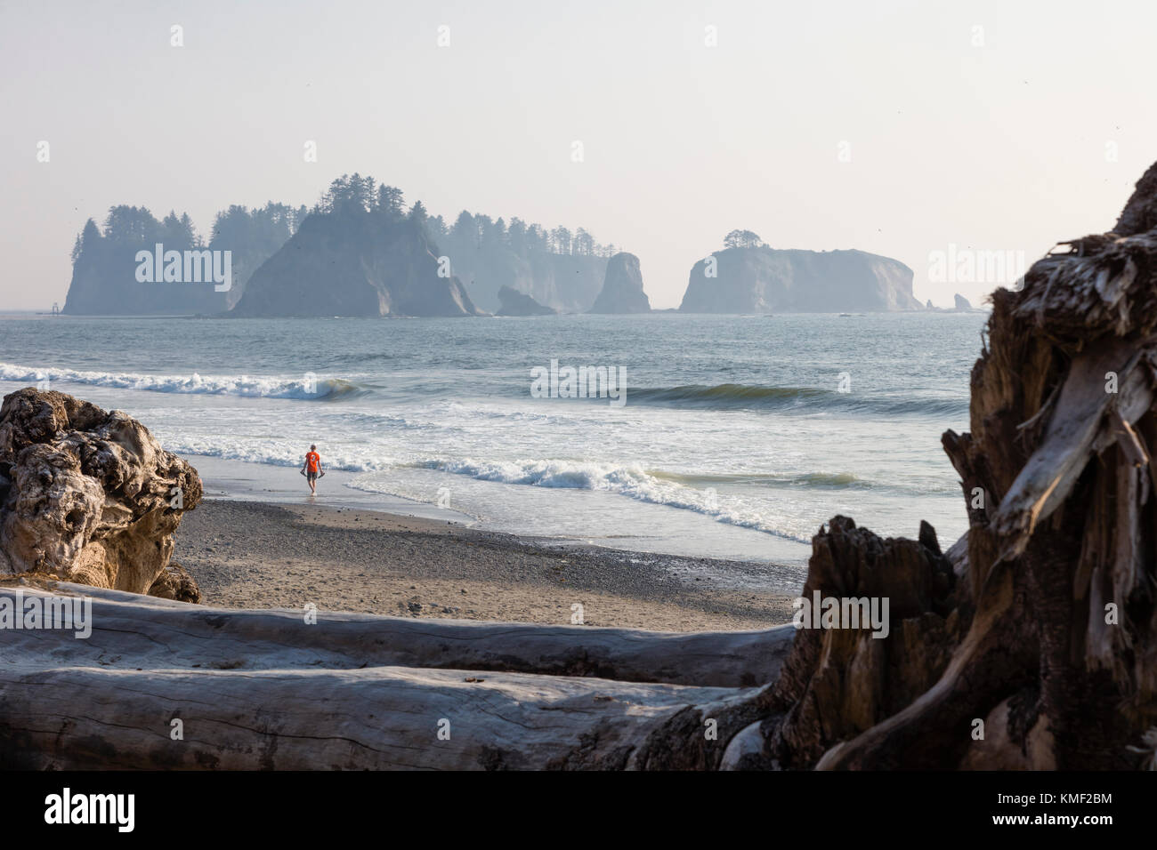 Riatlo Beach sur l'océan pacifique dans le parc national olympique dans la côte de l'état de Washington aux États-Unis Banque D'Images
