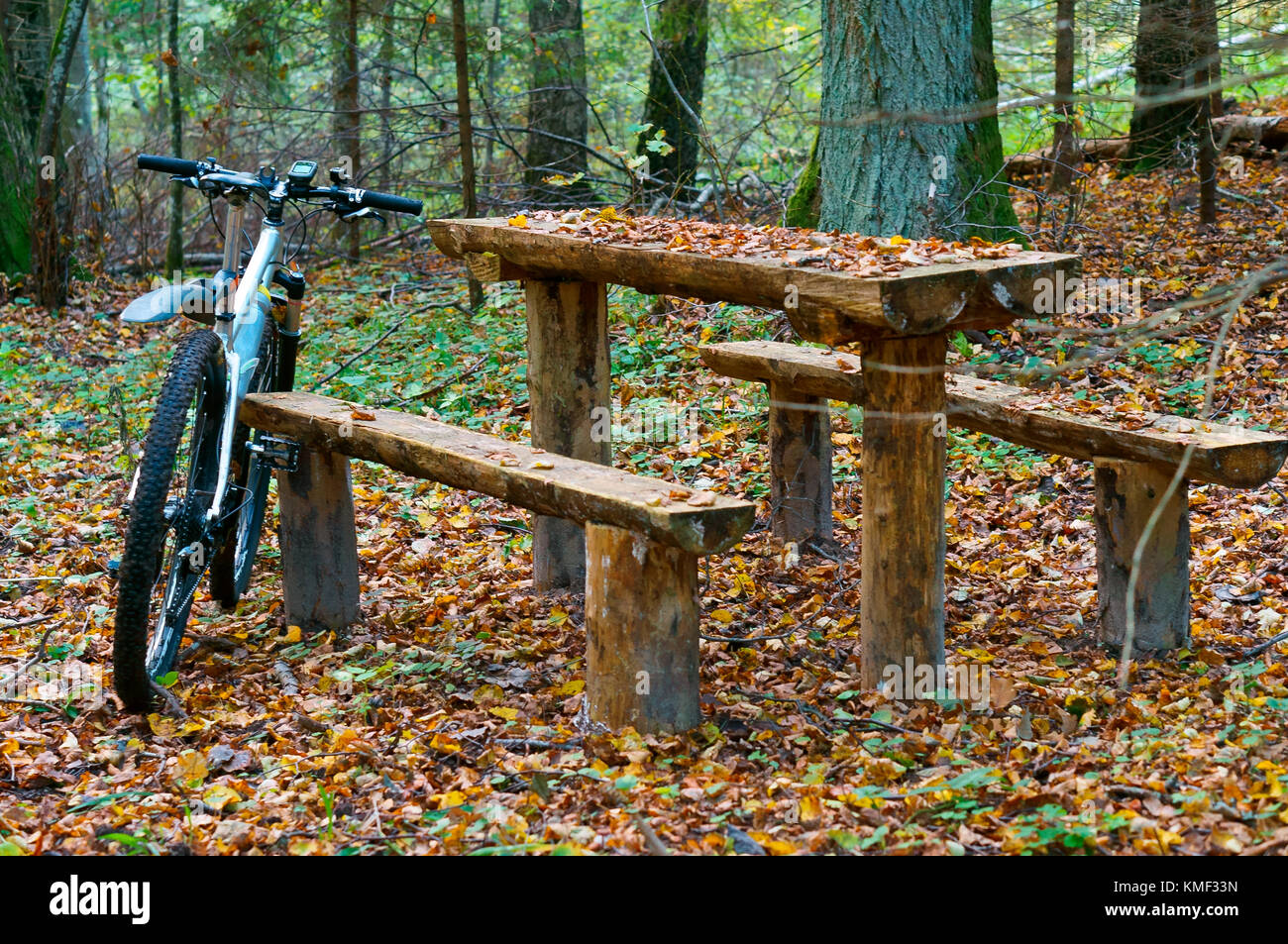 Vélo dans les bois autour d'une table en bois avec bancs Banque D'Images