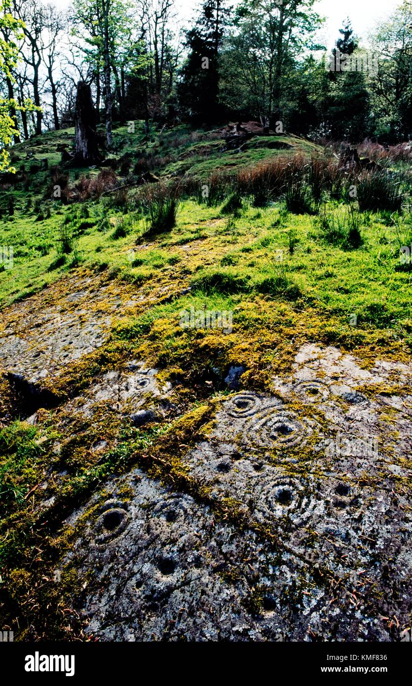Tasse et mark bague art rupestre néolithique préhistorique notes sur les affleurement rocheux à Poltalloch dans la vallée de Kilmartin, Argyll, Scotland, UK Banque D'Images