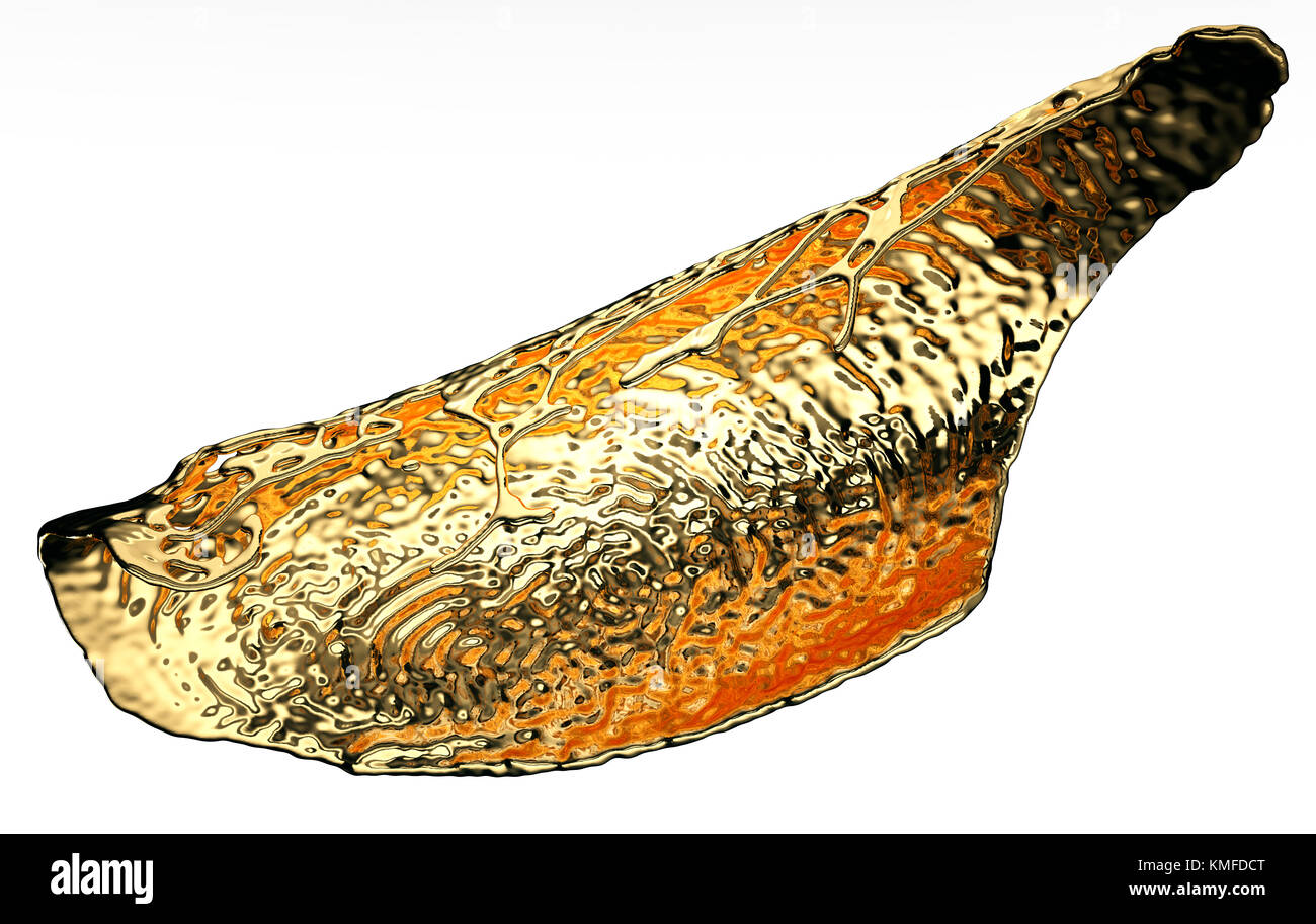 Éclaboussures d'or liquide ou d'huile isolées sur blanc. rendu 3d, illustration 3d. Banque D'Images
