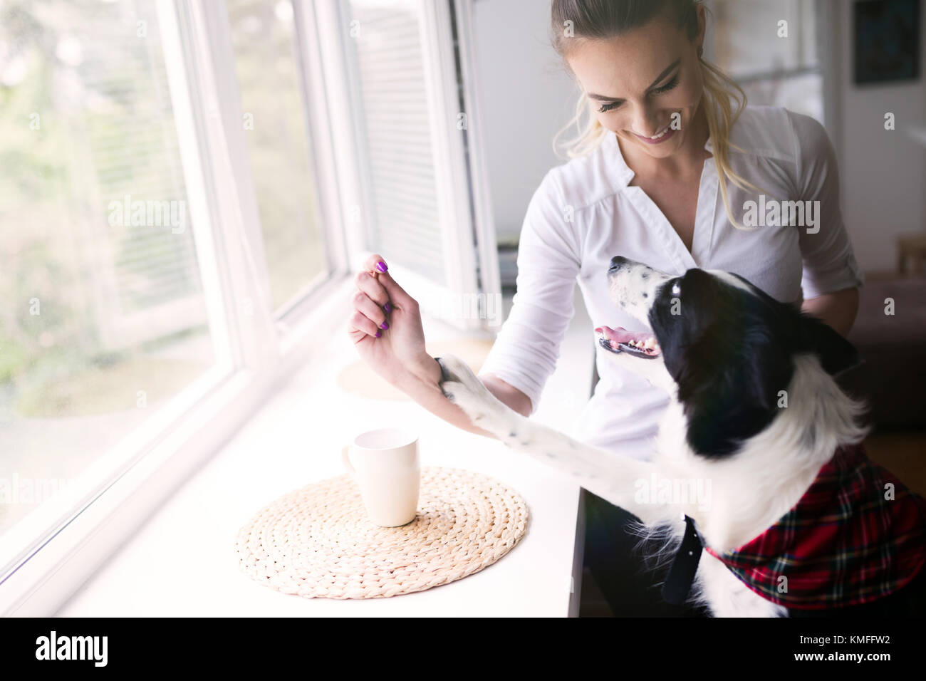 Belle femme jouer à la maison avec son chien heureux Banque D'Images