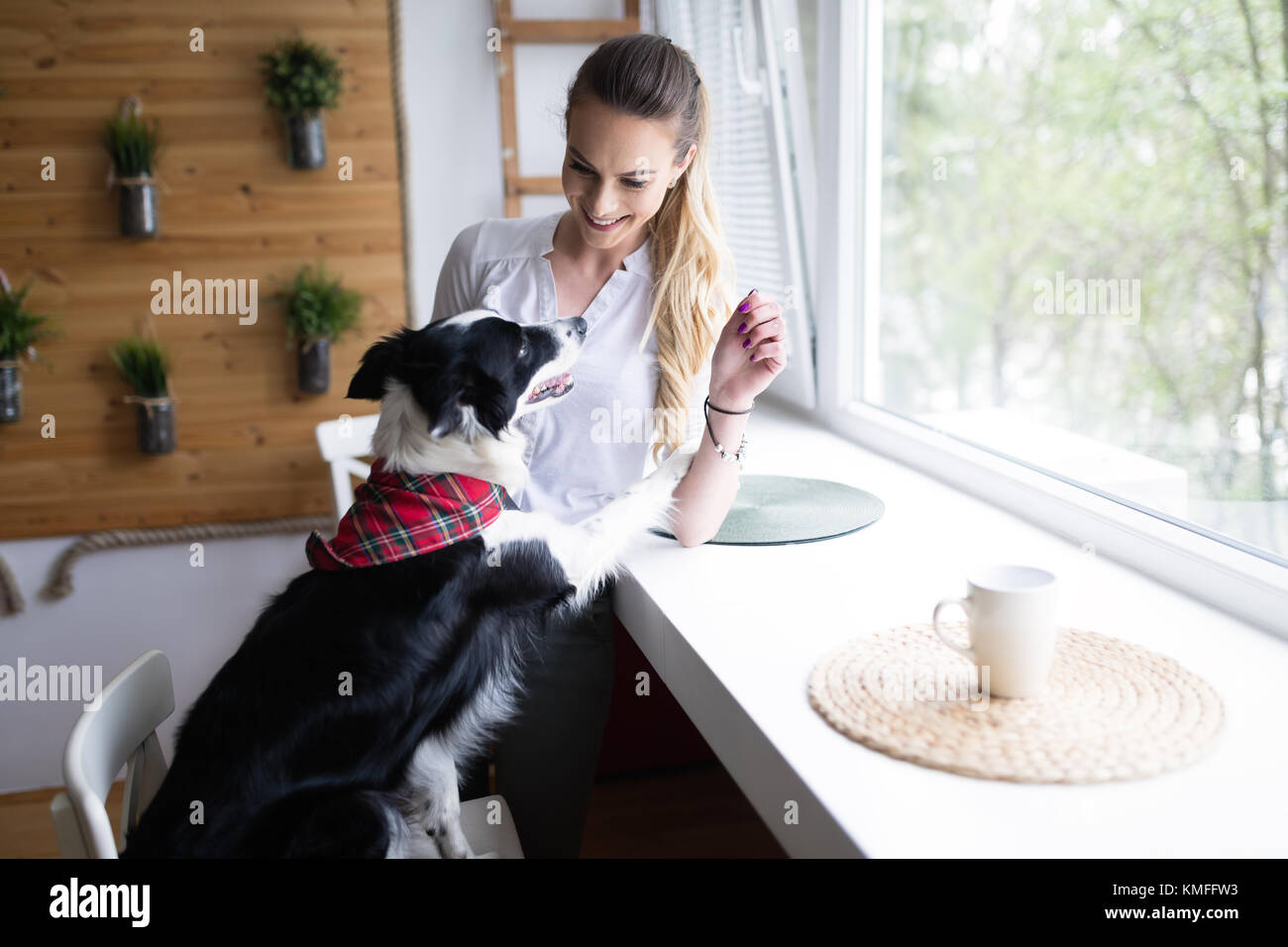 Belle femme jouer à la maison avec son chien heureux Banque D'Images