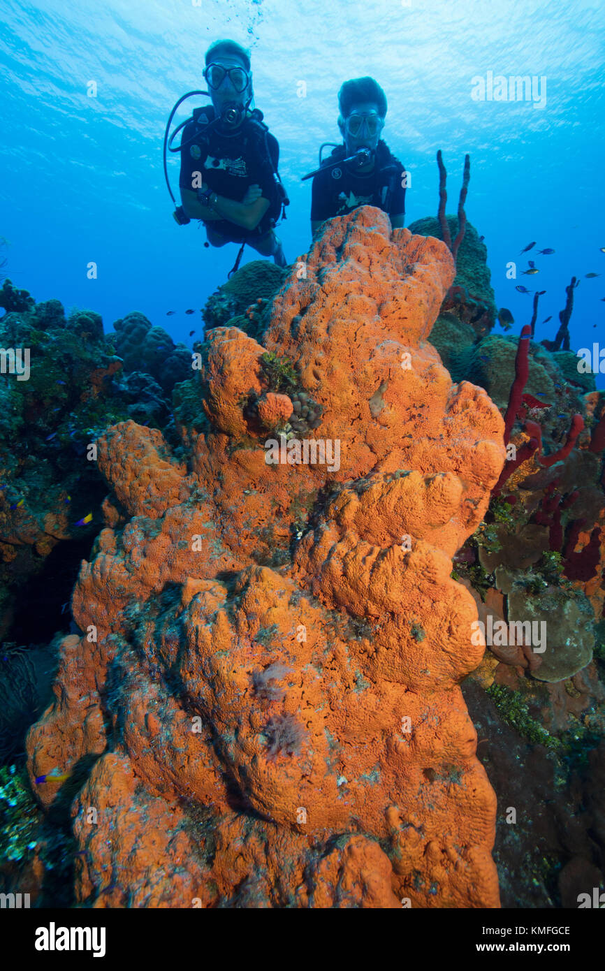 Les plongeurs d'explorer un récif à grand cayman. Banque D'Images