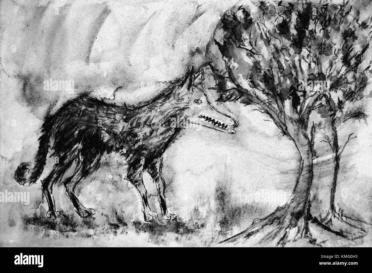 Loup sauvage altérée dans la forêt dans des tons noir et blanc. La technique du badigeonnage près des bords donne un effet de flou dû à la surface altérée Banque D'Images