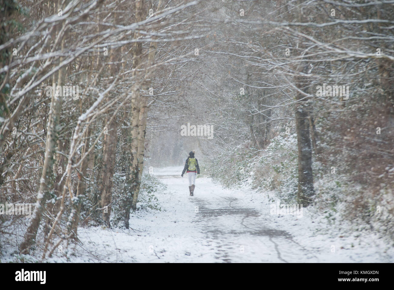 Météo France : Fortes chutes de neige dans les sectes, Aberdeen suite orage Caroline. Une femme marche le long du sentier dans un façon Deeside averse de neige. Photo Paul Glendell Banque D'Images