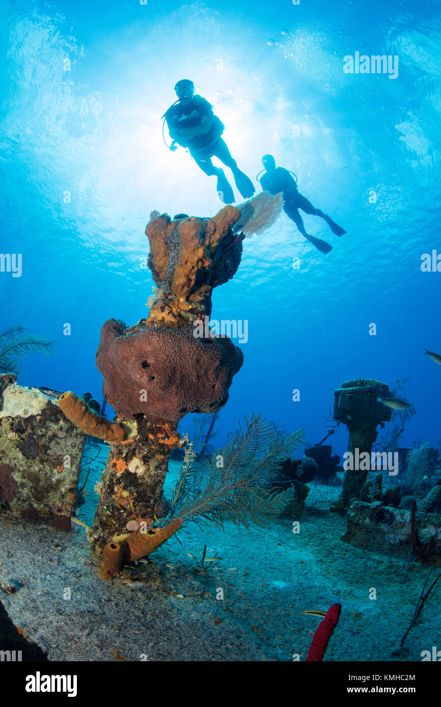 Plongeurs sur l'épave de l'oro verde, grand cayman Banque D'Images