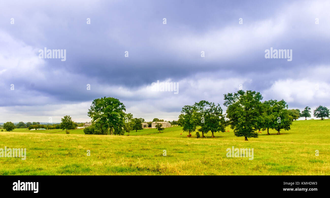 Campagne normande paysage sur un jour nuageux en été, france Banque D'Images