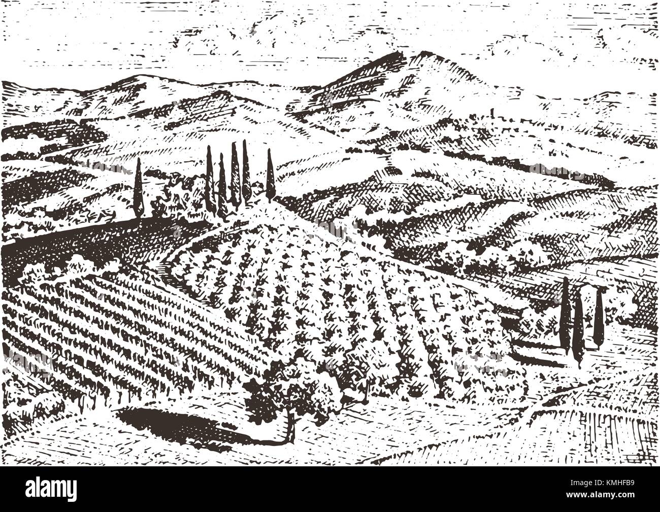 Vigne rustique. paysage rural avec des maisons solaires toscane. arrière-plan. champs et cyprès. la récolte de foin et gravé à la main. dans de vieux croquis de style vintage et d'étiquette. Illustration de Vecteur