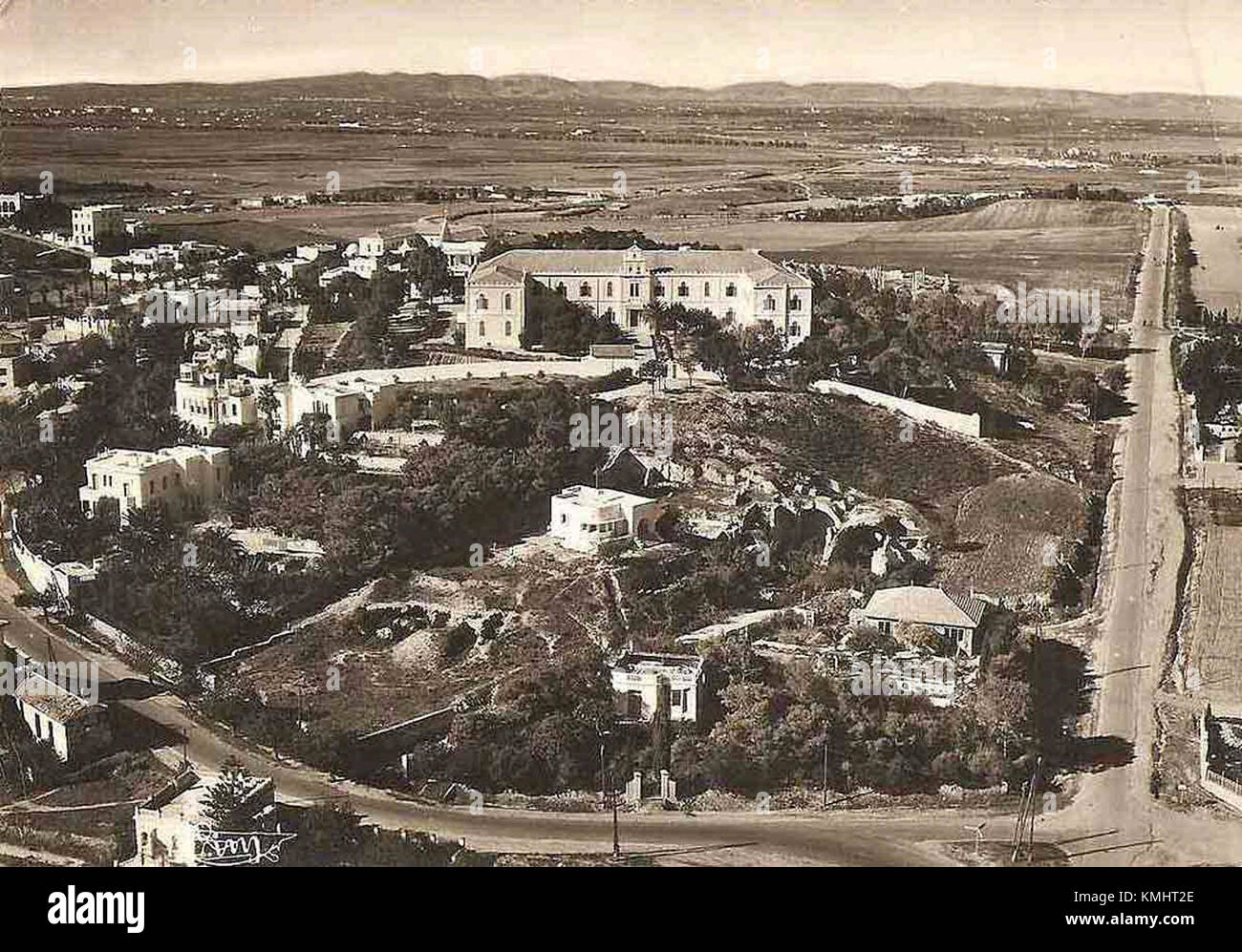 Une mosaïque historique représentant des chevaux de la route de Carthage, mettant en valeur l'art antique et le patrimoine culturel de Carthage, l'une des grandes civilisations de la région méditerranéenne. Banque D'Images