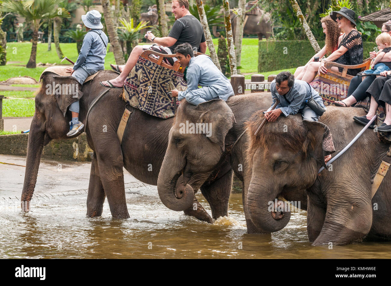 Les touristes et les maîtres-chiens équitation a sauvé les éléphants de Sumatra, à l'elephant Safari park à taro, Bali, Indonésie Banque D'Images