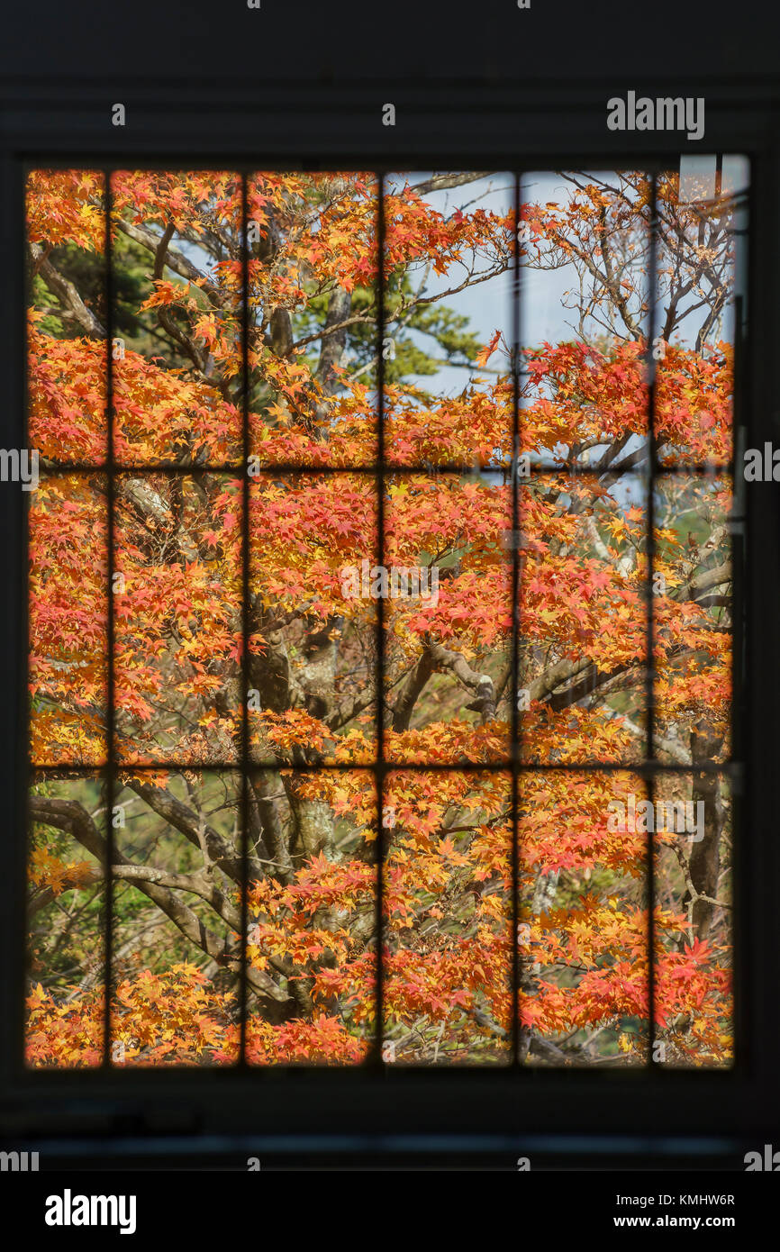 Châssis de fenêtre rempli de feuilles d'érable rouge, a vu à Kyoto, Japon Banque D'Images