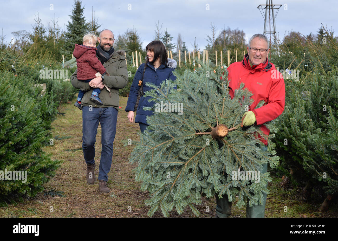 Les familles bénéficiant d'une journée en choisissant leur arbre de Noël à Hagley les arbres de Noël dans le Worcestershire. Banque D'Images